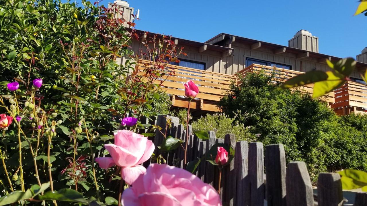 Carmel Valley Lodge Εξωτερικό φωτογραφία