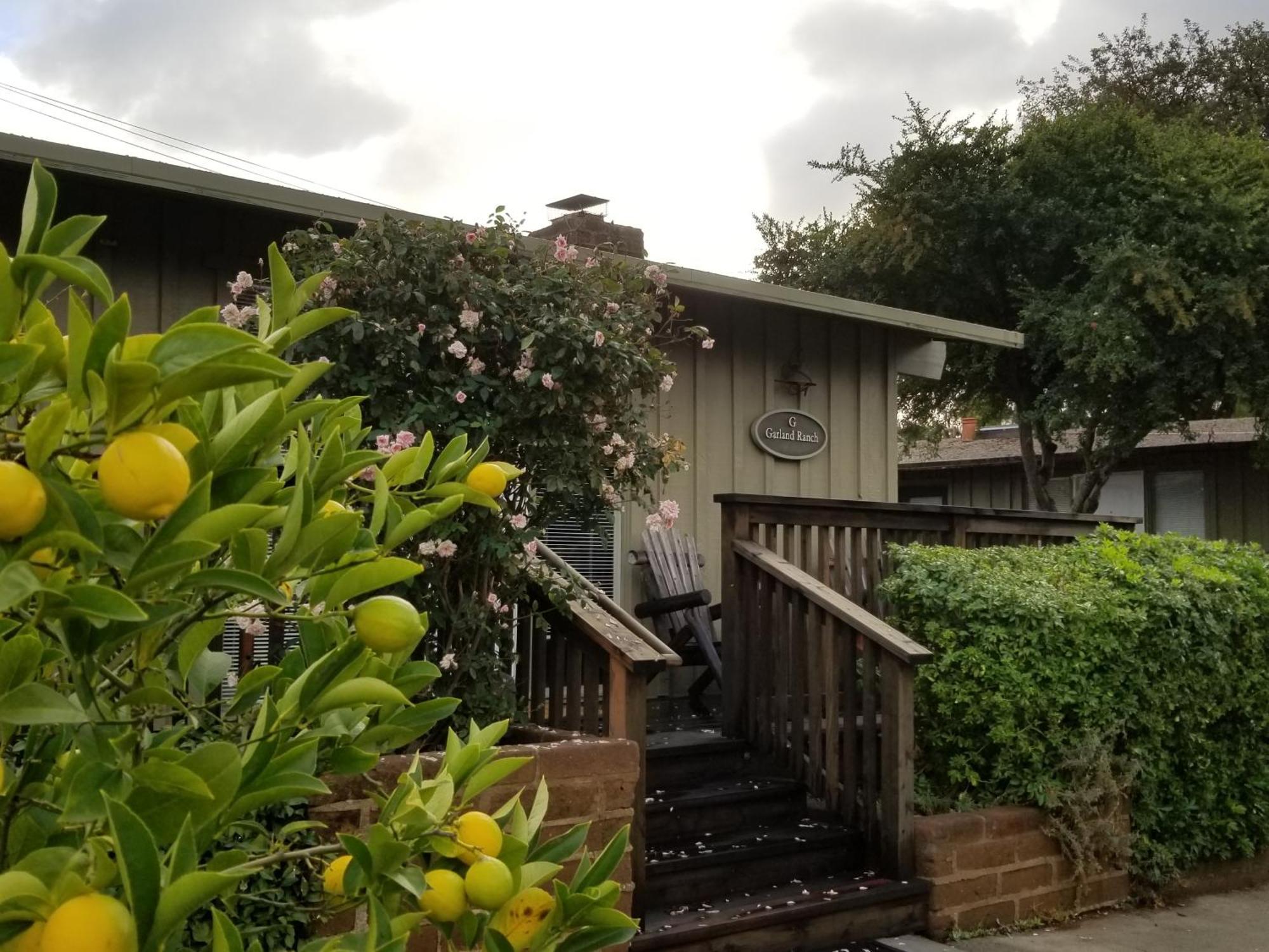 Carmel Valley Lodge Εξωτερικό φωτογραφία