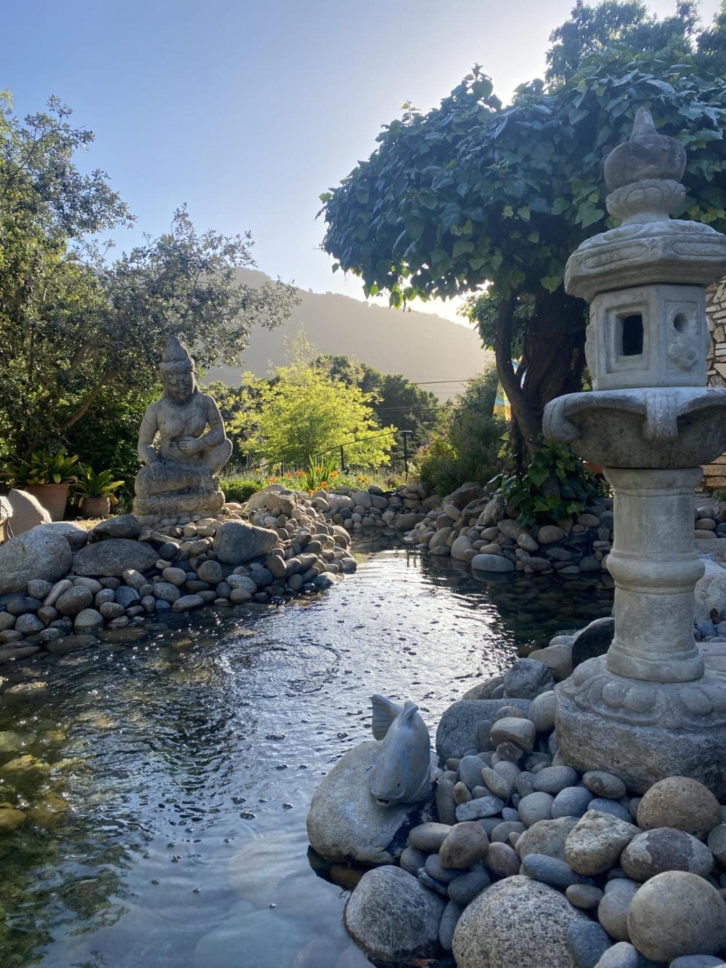 Carmel Valley Lodge Εξωτερικό φωτογραφία