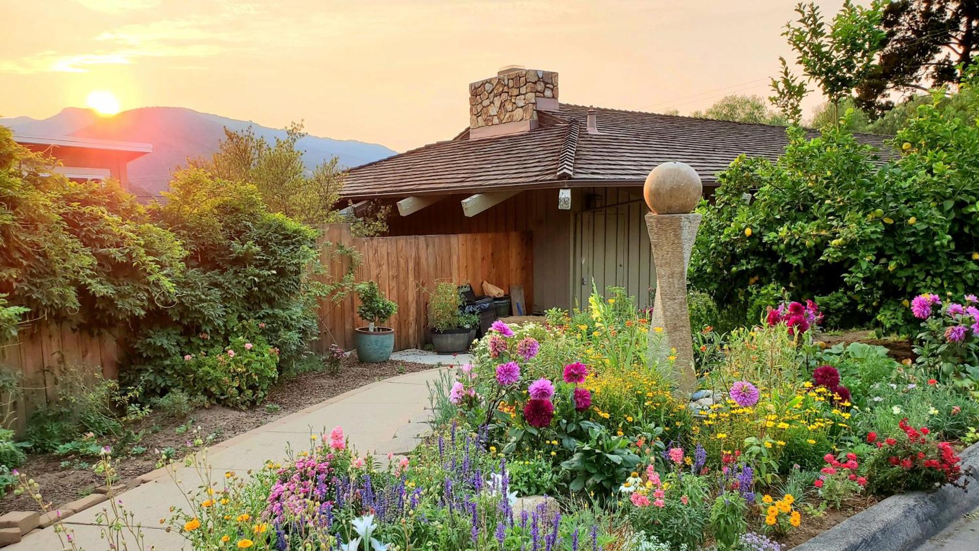 Carmel Valley Lodge Εξωτερικό φωτογραφία