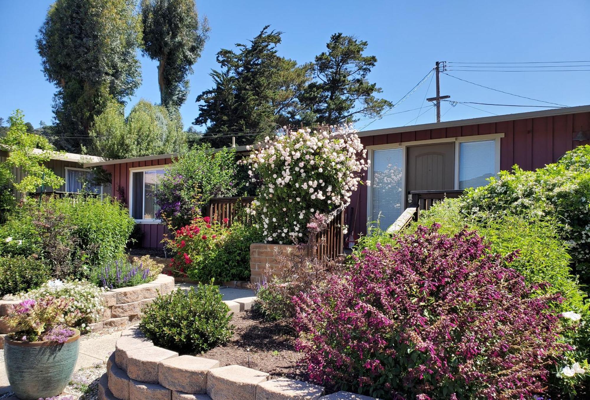 Carmel Valley Lodge Εξωτερικό φωτογραφία