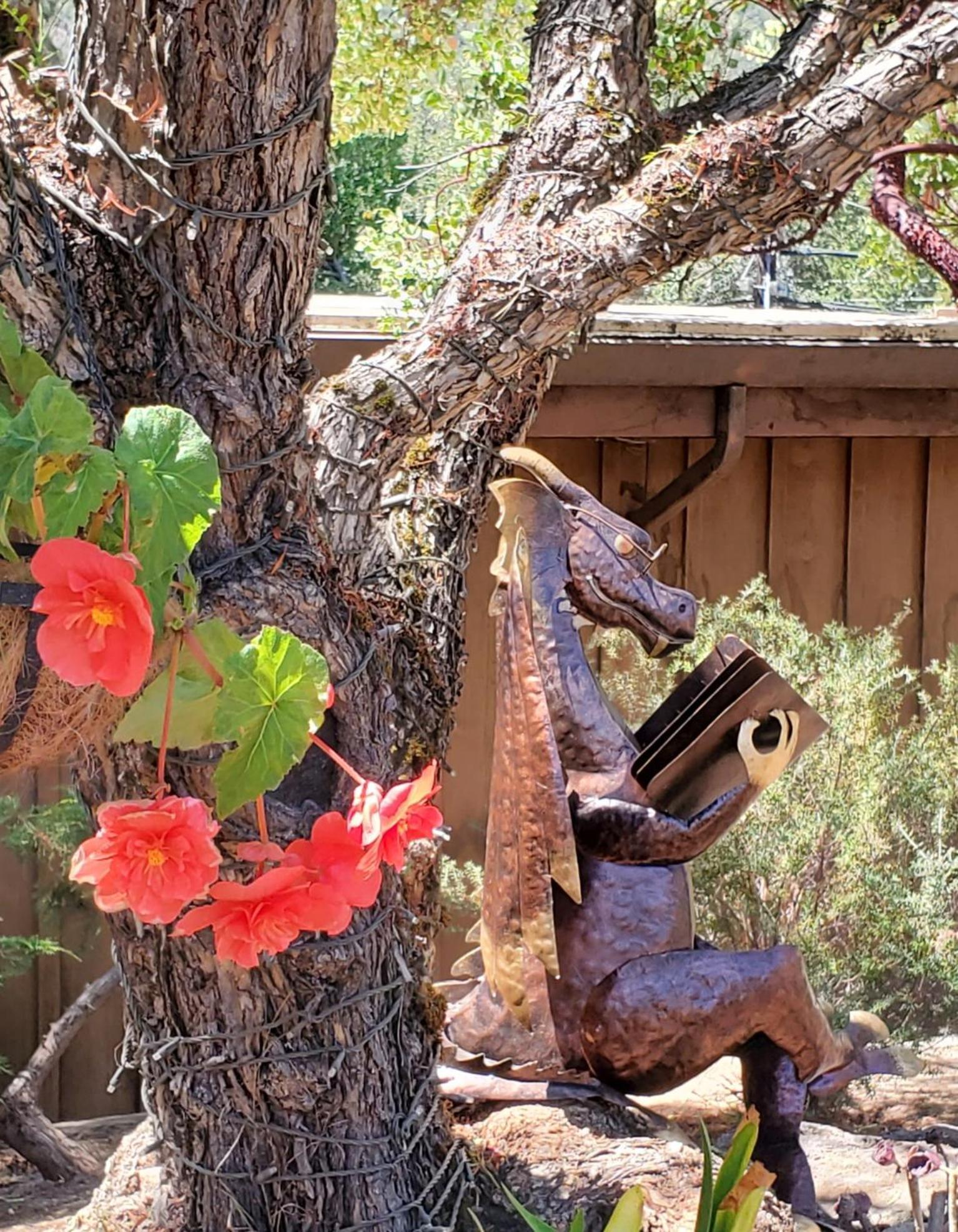 Carmel Valley Lodge Εξωτερικό φωτογραφία