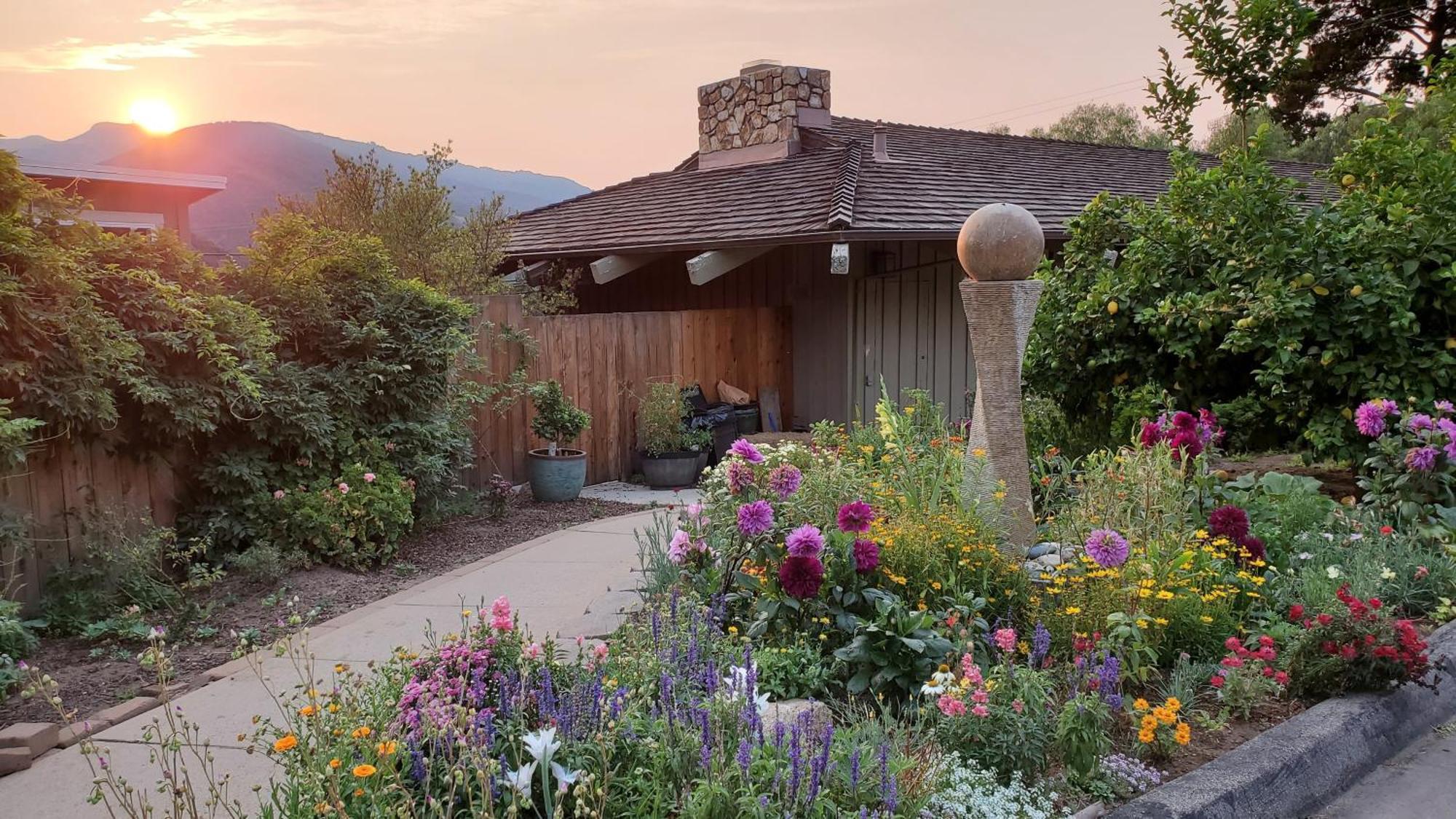 Carmel Valley Lodge Εξωτερικό φωτογραφία