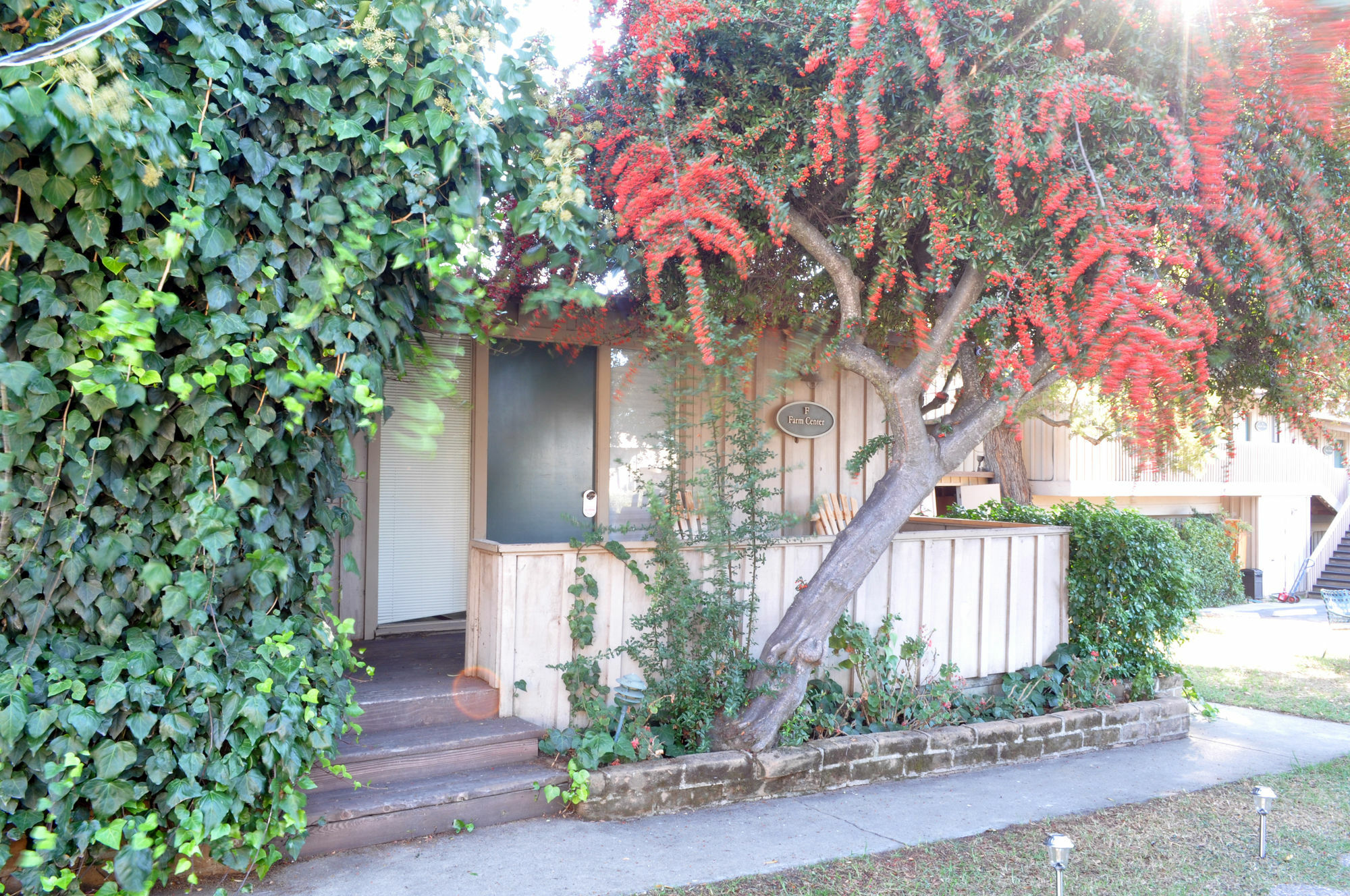 Carmel Valley Lodge Εξωτερικό φωτογραφία