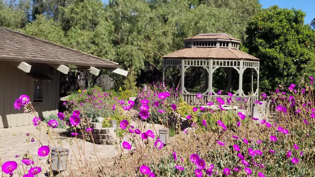 Carmel Valley Lodge Εξωτερικό φωτογραφία